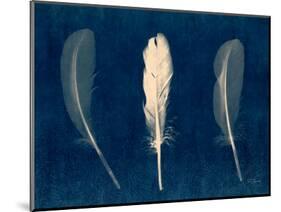 Plumes and Quills 2-Dan Zamudio-Mounted Art Print