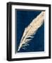 Plumes and Quills 3-Dan Zamudio-Framed Art Print