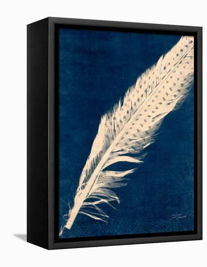 Plumes and Quills 3-Dan Zamudio-Framed Stretched Canvas