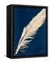 Plumes and Quills 3-Dan Zamudio-Framed Stretched Canvas