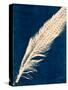 Plumes and Quills 3-Dan Zamudio-Stretched Canvas