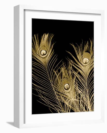 Plumes d'Or I-Jason Johnson-Framed Art Print