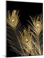 Plumes d'Or I-Jason Johnson-Mounted Art Print