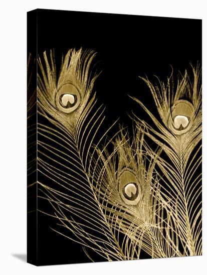 Plumes d'Or I-Jason Johnson-Stretched Canvas