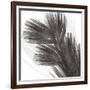 Plumes I, c.2008-Anne Montiel-Framed Premium Giclee Print