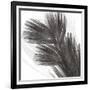 Plumes I, c.2008-Anne Montiel-Framed Premium Giclee Print