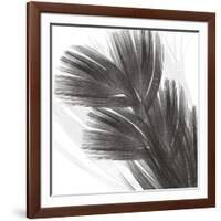 Plumes I, c.2008-Anne Montiel-Framed Premium Giclee Print