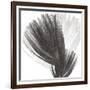 Plumes Ii, 2008-Anne Montiel-Framed Premium Giclee Print