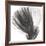 Plumes Ii, 2008-Anne Montiel-Framed Premium Giclee Print