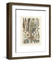 Plumes-Adolphe Millot-Framed Art Print