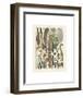 Plumes-Adolphe Millot-Framed Art Print