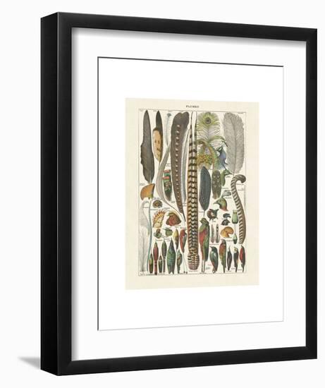 Plumes-Adolphe Millot-Framed Art Print