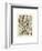 Plumes-Adolphe Millot-Framed Art Print