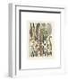 Plumes-Adolphe Millot-Framed Art Print