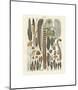 Plumes-Adolphe Millot-Mounted Giclee Print