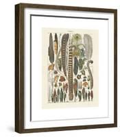 Plumes-Adolphe Millot-Framed Giclee Print