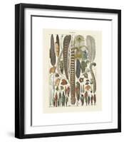 Plumes-Adolphe Millot-Framed Giclee Print