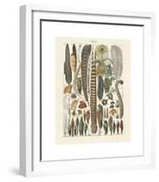 Plumes-Adolphe Millot-Framed Giclee Print