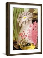 Plumose Sea Anemone-Science Source-Framed Giclee Print