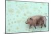 Plump Pig-Den Reader-Mounted Photographic Print