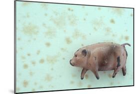 Plump Pig-Den Reader-Mounted Photographic Print