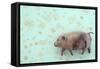 Plump Pig-Den Reader-Framed Stretched Canvas