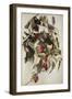 Plums, 1925 (W/C & Graphite on Wove Paper)-Charles Demuth-Framed Giclee Print