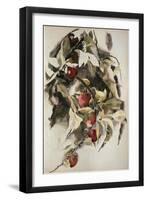 Plums, 1925 (W/C & Graphite on Wove Paper)-Charles Demuth-Framed Giclee Print