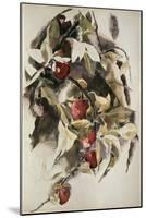 Plums, 1925 (W/C & Graphite on Wove Paper)-Charles Demuth-Mounted Giclee Print