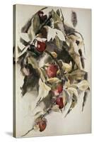 Plums, 1925 (W/C & Graphite on Wove Paper)-Charles Demuth-Stretched Canvas
