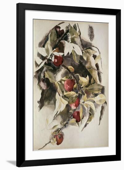 Plums, 1925 (W/C & Graphite on Wove Paper)-Charles Demuth-Framed Giclee Print