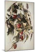 Plums, 1925 (W/C & Graphite on Wove Paper)-Charles Demuth-Mounted Giclee Print
