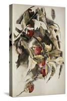 Plums, 1925 (W/C & Graphite on Wove Paper)-Charles Demuth-Stretched Canvas