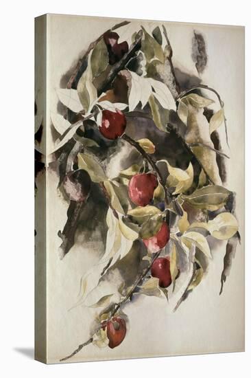 Plums, 1925 (W/C & Graphite on Wove Paper)-Charles Demuth-Stretched Canvas