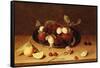 Plums and Peaches on a Pewter Dish with Cherries and a Carnation on a Table-Jacob van Hulsdonck-Framed Stretched Canvas