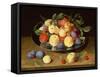 Plums and Peaches on a Pewter Plate-Jacob van Hulsdonck-Framed Stretched Canvas