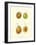 Plums I-null-Framed Art Print