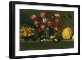 Plums on a Dish, Carnations in an Urn, Quinces on a Ledge-Giovanni Quinsa-Framed Giclee Print