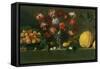 Plums on a Dish, Carnations in an Urn, Quinces on a Ledge-Giovanni Quinsa-Framed Stretched Canvas