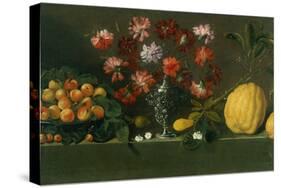 Plums on a Dish, Carnations in an Urn, Quinces on a Ledge-Giovanni Quinsa-Stretched Canvas