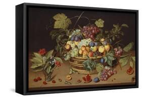 Plums, Peaches and Grapes in a Basket with Carnations and Other Flowers in a Roemer, with…-Jacob Van Hulsdonck-Framed Stretched Canvas