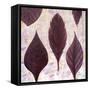 Plums The Word-Herb Dickinson-Framed Stretched Canvas