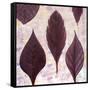 Plums The Word-Herb Dickinson-Framed Stretched Canvas