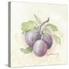 Plums-Peggy Abrams-Stretched Canvas