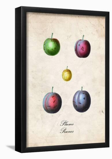 Plums-null-Framed Poster