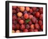 Plums-Foodcollection-Framed Photographic Print