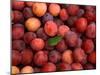 Plums-Foodcollection-Mounted Photographic Print