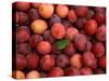 Plums-Foodcollection-Stretched Canvas