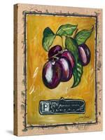 Plums-Jennifer Garant-Stretched Canvas