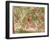 Plums-Valerie Daniel-Framed Giclee Print